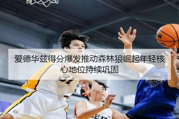 爱德华兹得分爆发推动森林狼崛起年轻核心地位持续巩固